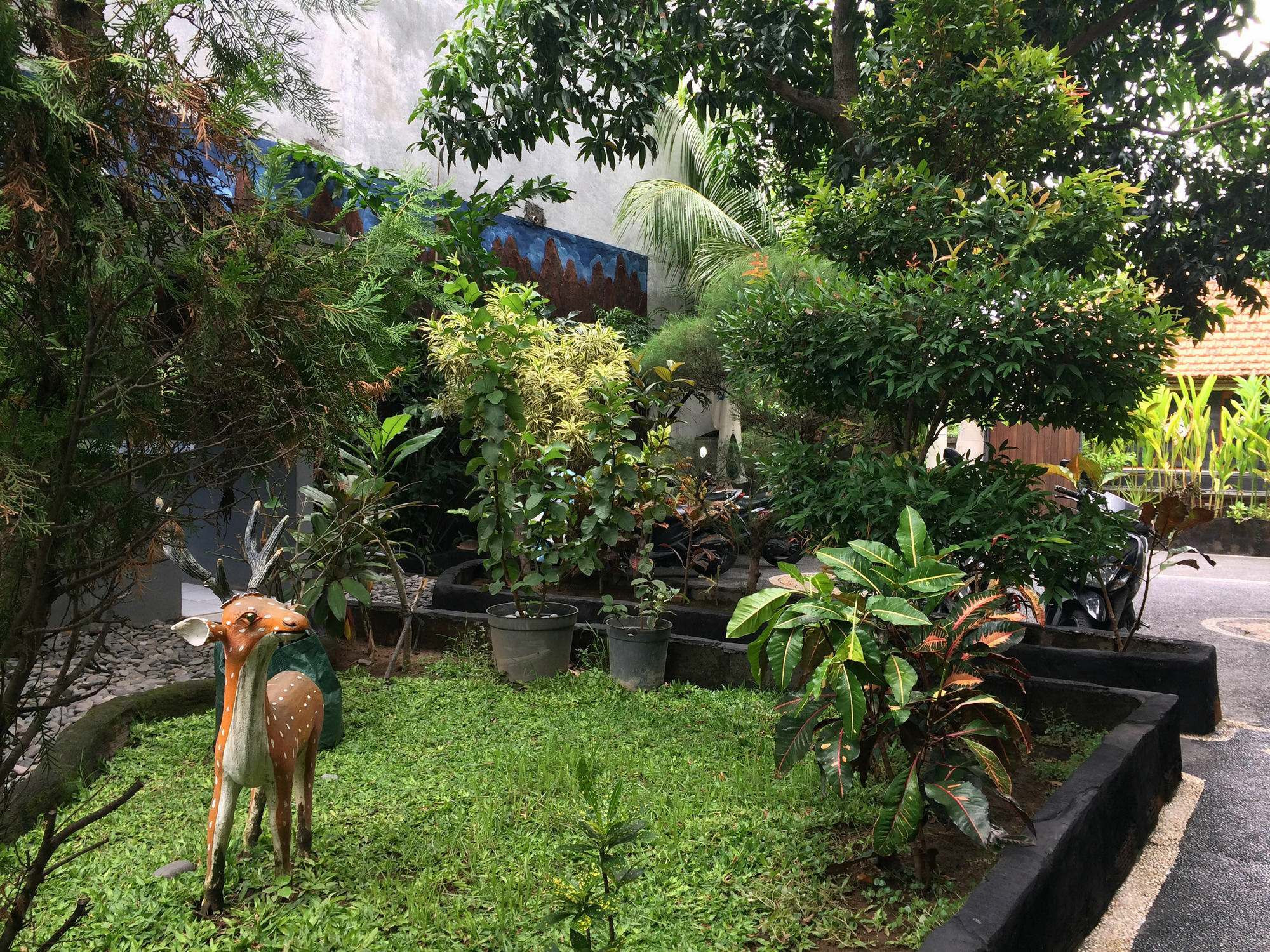 Jenny Bunker Homestay Kuta Lombok Buitenkant foto